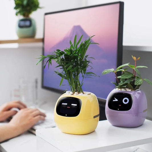 SmartIvy - Intelligenter Pflanztopf mit endlosem Spaß - SmartIvy